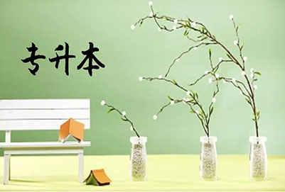 黑龍江2023年專升本最新政策