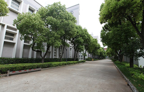 文山縣職業(yè)高級中學2021年招生專業(yè)