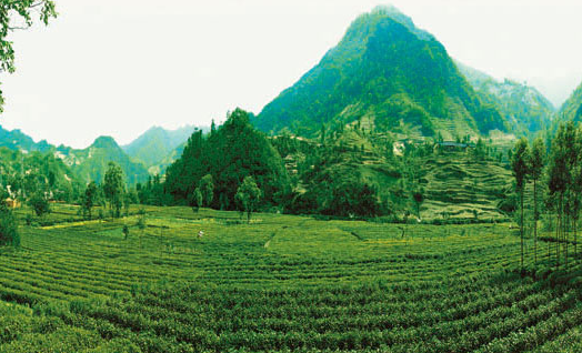 文縣農(nóng)職業(yè)技術學校