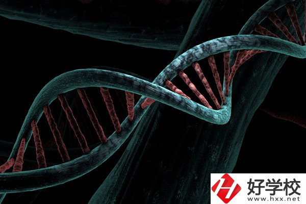 溆浦縣職業(yè)中等專業(yè)學(xué)校宿舍怎么樣？