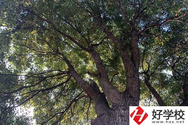 湖南省商業(yè)職業(yè)中專學(xué)校在哪里？升學(xué)就業(yè)怎么樣？