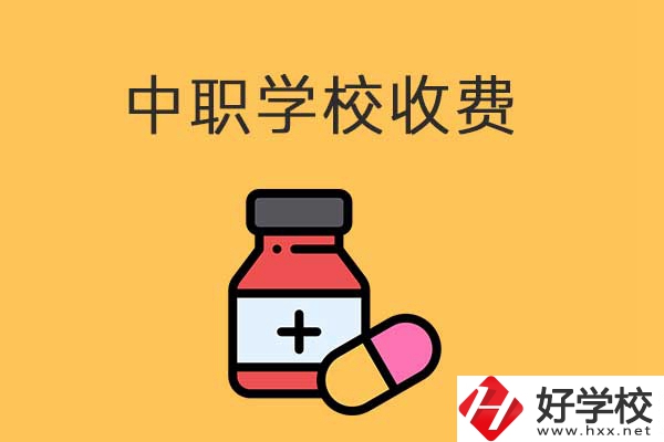 衡陽的中職學校怎么收費的？費用貴不貴？