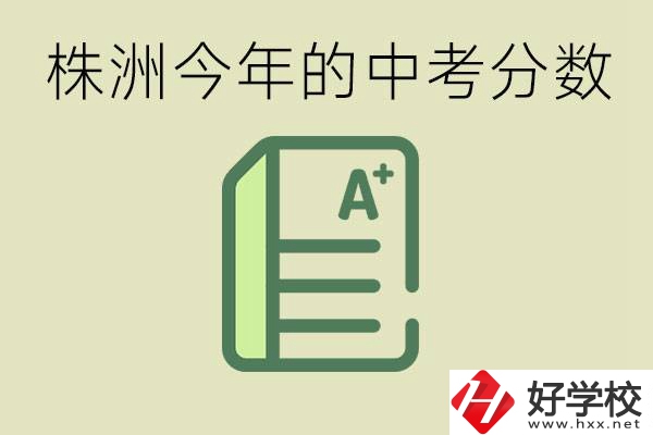 株洲今年中考多少分能上高中？沒(méi)考上有什么選擇？