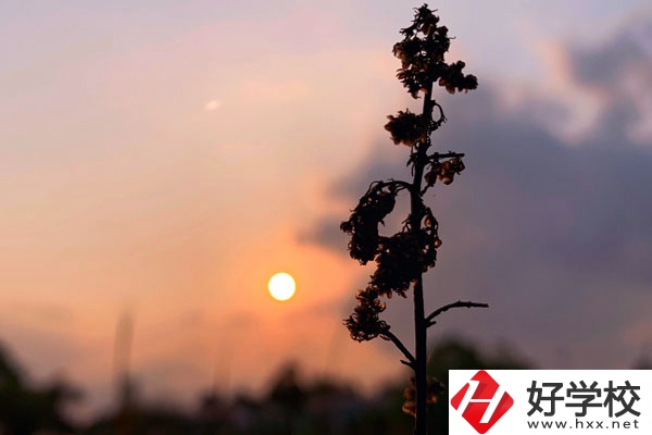 邵陽(yáng)哈博職業(yè)中專(zhuān)學(xué)校好不好？有什么辦學(xué)特色？