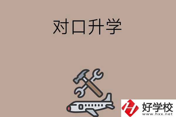 職高學生參加湖南省對口升學，有什么本科可以報考？