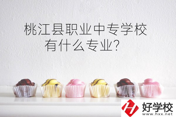 桃江縣職業(yè)中專學校到底好不好？有什么專業(yè)？