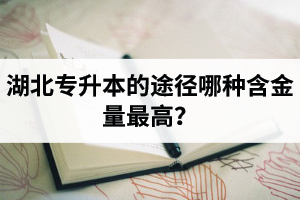 湖北普通專升本英譯漢段落翻譯分析應(yīng)該怎么做？