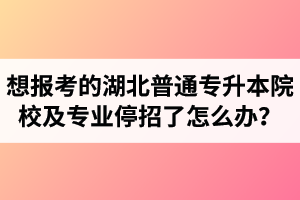 想報考的湖北普通專升本院校及專業(yè)停招了怎么辦？