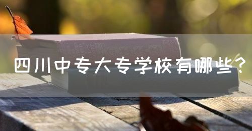 四川中專大專學校有哪些？(圖1)