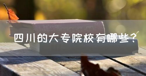 四川的大專院校有哪些？(圖1)
