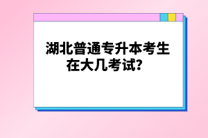 湖北普通專升本考生在大幾考試？
