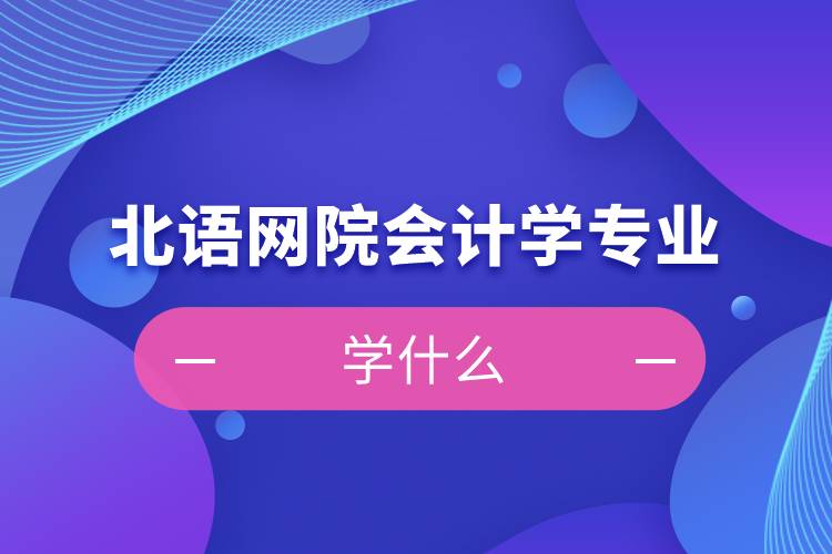 北語網(wǎng)院會(huì)計(jì)學(xué)專業(yè)學(xué)什么