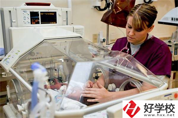 湖南中職學(xué)校開設(shè)最多的專業(yè)有哪些？就業(yè)前景怎么樣？