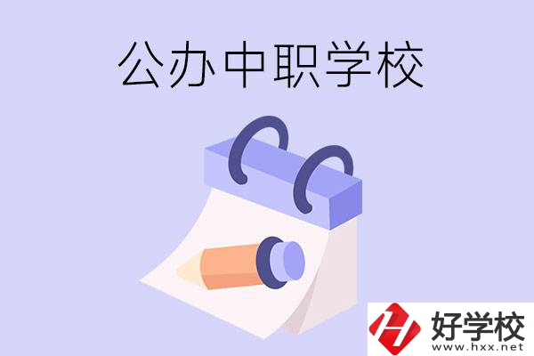 湖南公辦中職學校有哪些辦學規(guī)模比較大的？