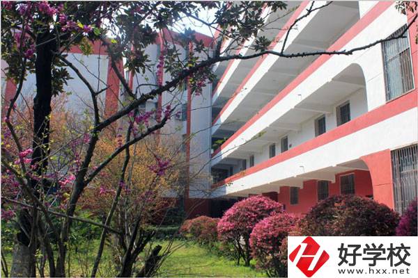 婁底有哪些技校？哪一所比較好？