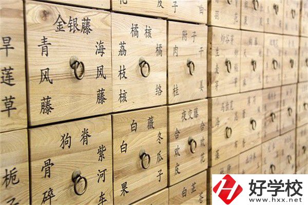 湖南省哪些中職有中藥專業(yè)？