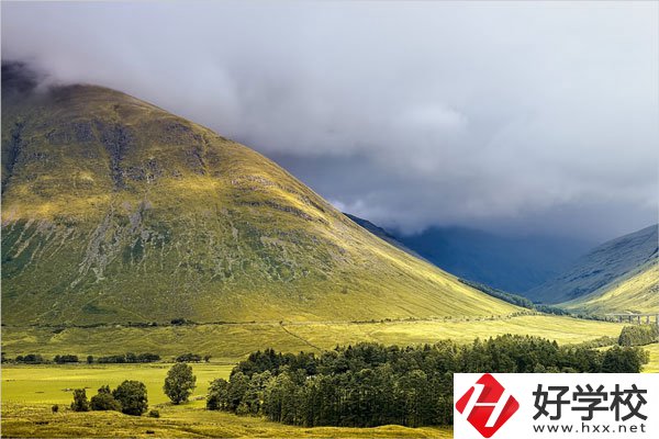 在湖南讀中專，哪些專業(yè)就業(yè)前景比較好？