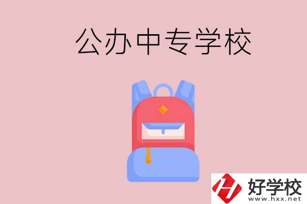 婁底有什么公辦中專學校？教學怎么樣？
