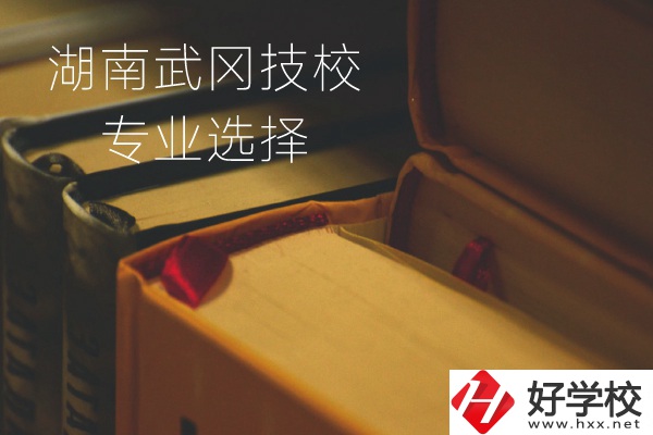 湖南武岡技校怎么樣？有哪些專業(yè)可以選擇？