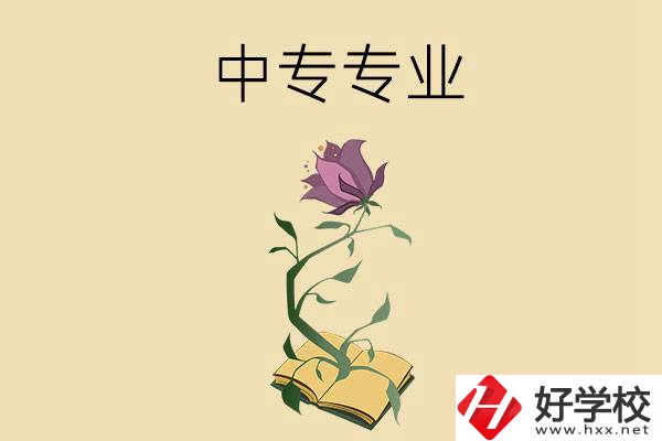 在張家界讀中專，學(xué)什么專業(yè)比較好？