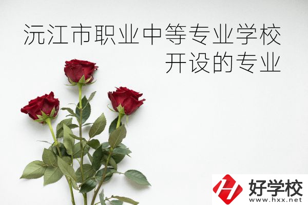 沅江市職業(yè)中等專業(yè)學校怎么樣？開設哪些專業(yè)？