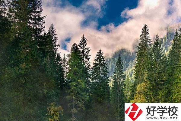 永州東方科技職業(yè)學校有哪些辦學特色？