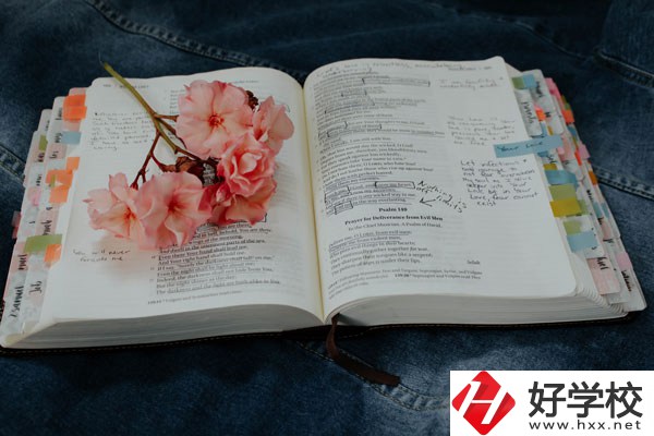 細數(shù)懷化三大職校，這三所學校女生最多！