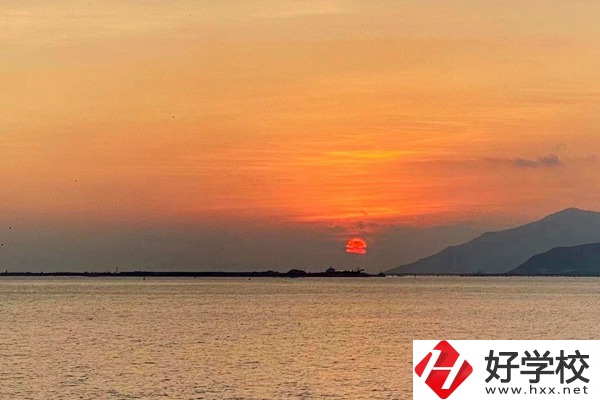 湘西龍山縣誠(chéng)信職業(yè)技術(shù)學(xué)校有哪些對(duì)口單招專業(yè)？