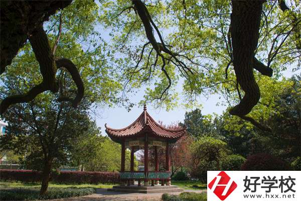 長沙市望城區(qū)職業(yè)中等專業(yè)學(xué)校的官網(wǎng)是什么？