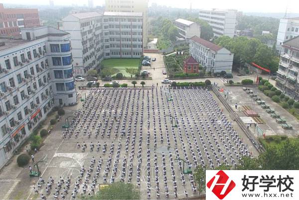 益陽市有哪些中職學(xué)?？梢詫W(xué)習(xí)到機器人的知識?