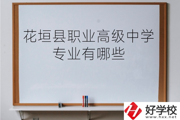 湘西花垣縣職業(yè)高級(jí)中學(xué)專(zhuān)業(yè)有哪些？