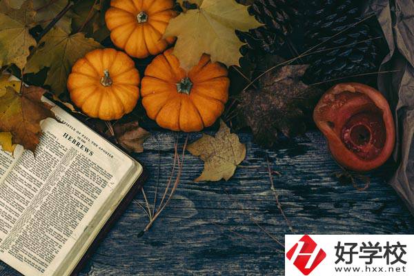 臨湘市職業(yè)中專開設(shè)哪些熱門專業(yè)？有哪些就業(yè)方向？