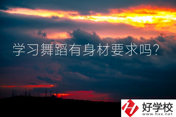 懷化有可以學(xué)習(xí)舞蹈的中專學(xué)校嗎？有身材要求嗎？