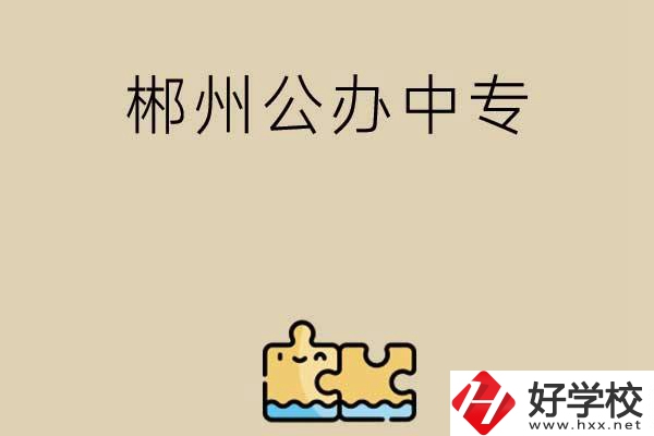 郴州公辦中專有哪些開設(shè)了電子商務(wù)專業(yè)？