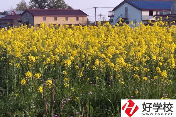 湖南省有哪些比較好的技校？熱門專業(yè)有哪些？