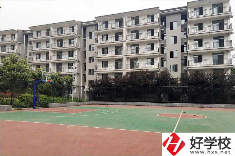衡陽科技工程學(xué)?；@球場