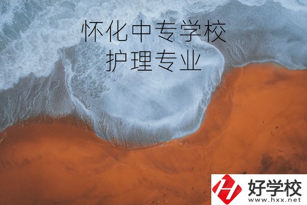 懷化有學(xué)護理專業(yè)的中專學(xué)校嗎？