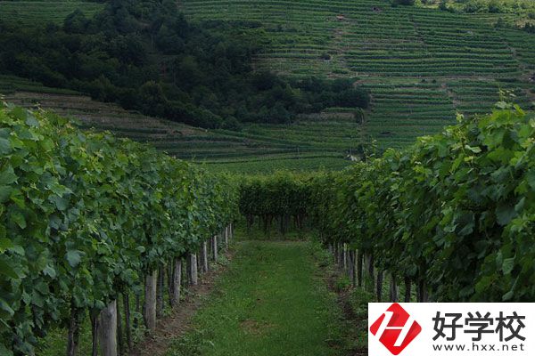 中鋼集團衡陽重機技工學校好不好？值得讀嗎？