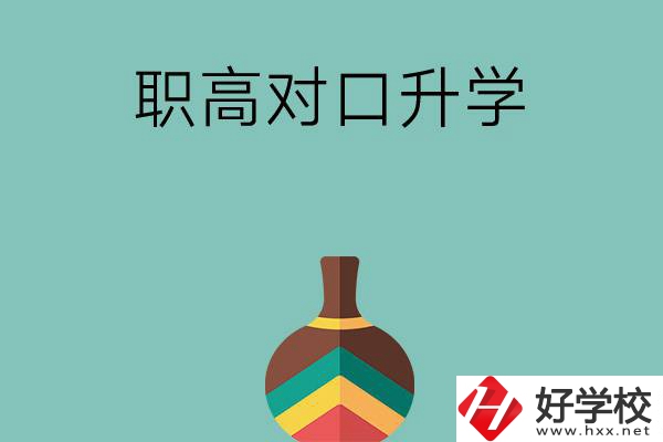 湖南職高對口升學可以考哪些大專？