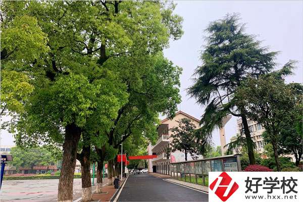 想在益陽學(xué)機(jī)械制造專業(yè)，哪個學(xué)校比較好？