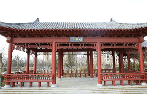山東中醫(yī)藥高等?？茖W(xué)校
