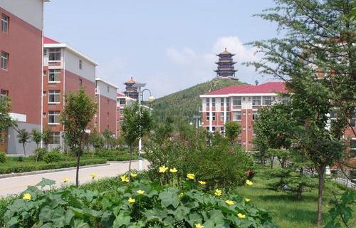 萊蕪職業(yè)技術學院