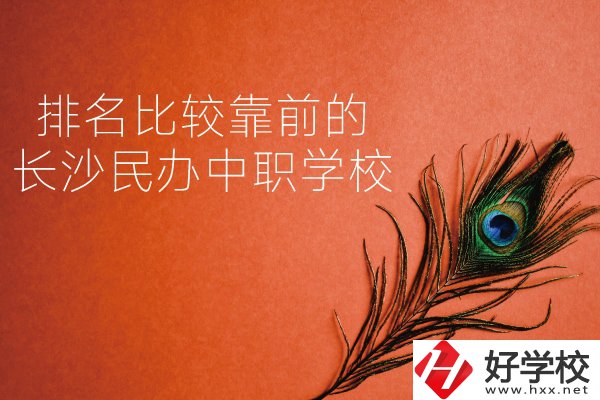 長沙哪些民辦中職學校排名比較靠前？
