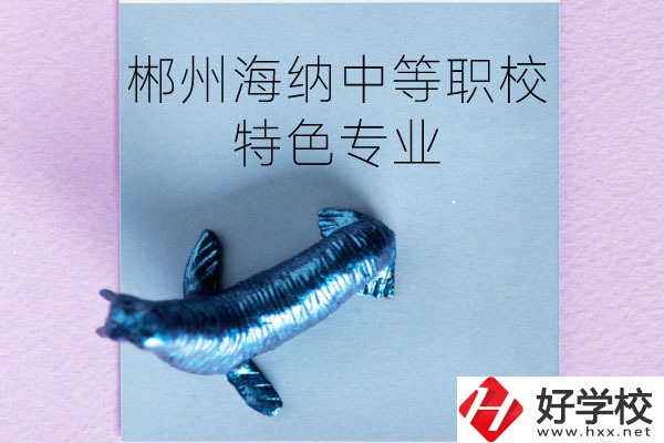 郴州海納中等職業(yè)技術學校有些什么特色專業(yè)？