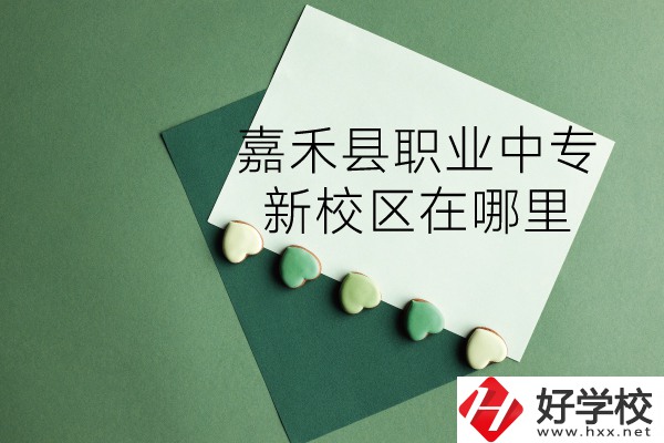 嘉禾縣職業(yè)中專怎么樣？新校區(qū)在哪里？