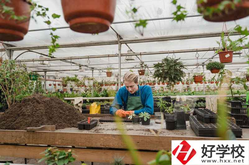 湖南省湘潭縣職校有什么專業(yè)可以選擇？