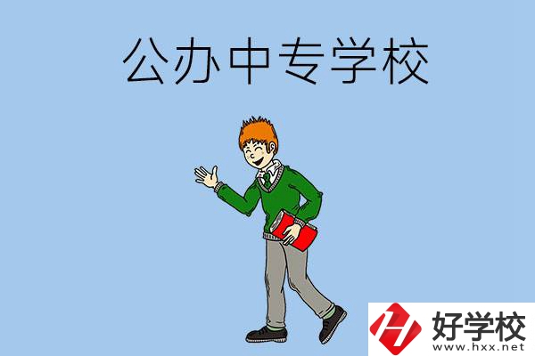 郴州公辦的中專一共有多少所？