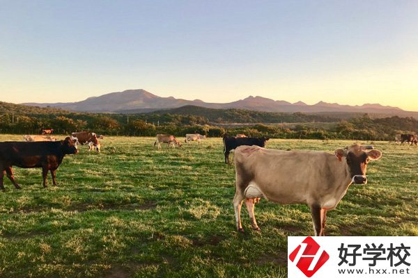 瀘溪縣第一職業(yè)中學(xué)的園林技術(shù)專業(yè)怎么樣？