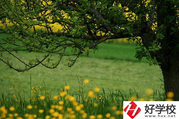 在邵陽(yáng)讀中職有前途嗎？如何選擇學(xué)校呢？