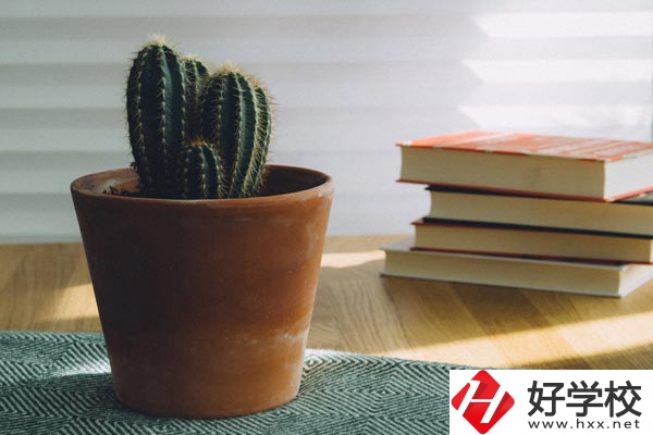 桃江縣職業(yè)中專學(xué)校辦學(xué)條件怎么樣？有哪些特色？